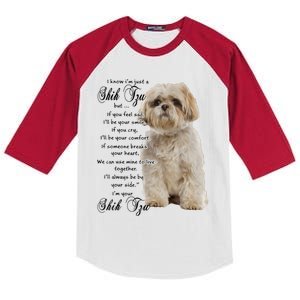 I Know Im Just A Shih Tzu Puppy Face Shitzu Gifts For Women Kids Colorblock Raglan Jersey