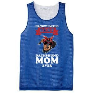 I Know I'm The Best Dachshund Mom Ever Wiener Funny Gift Mesh Reversible Basketball Jersey Tank