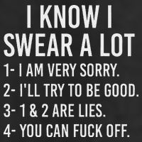 I Know I Swear A Lot 7 Panel Mesh Trucker Snapback Hat
