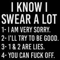I Know I Swear A Lot Cropped Pullover Crew