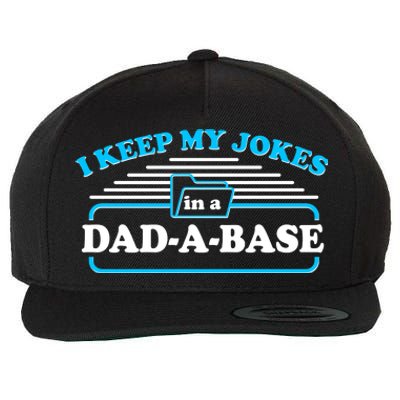 I Keep My Jokes In A DadABase Wool Snapback Cap