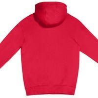 I Keep My Jokes In A DadABase Premium Pullover Hoodie