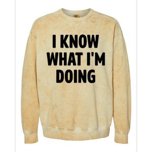 I Know What Im Doing Funny White Lie Party Colorblast Crewneck Sweatshirt