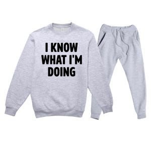 I Know What Im Doing Funny White Lie Party Premium Crewneck Sweatsuit Set