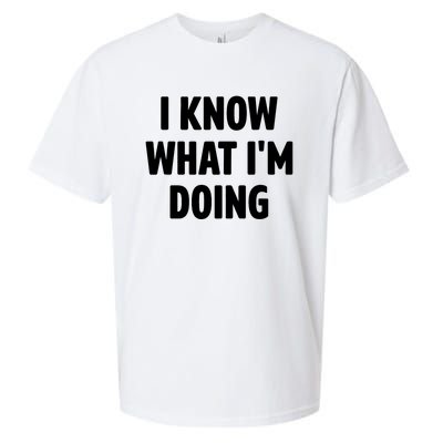 I Know What Im Doing Funny White Lie Party Sueded Cloud Jersey T-Shirt