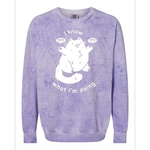 I Know What I'm Doing Funny Cat Colorblast Crewneck Sweatshirt