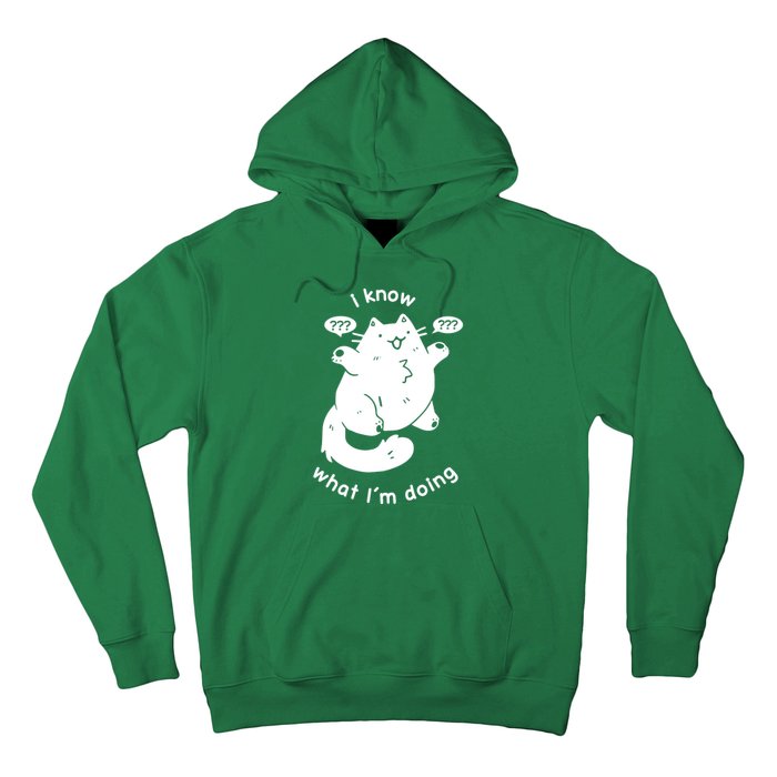 I Know What I'm Doing Funny Cat Hoodie