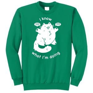 I Know What I'm Doing Funny Cat Sweatshirt