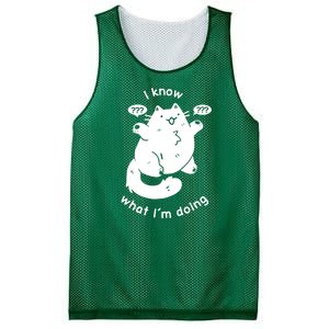 I Know What I'm Doing Funny Cat Mesh Reversible Basketball Jersey Tank