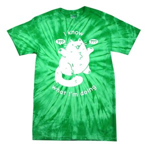 I Know What I'm Doing Funny Cat Tie-Dye T-Shirt