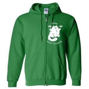 I Know What I'm Doing Funny Cat Full Zip Hoodie