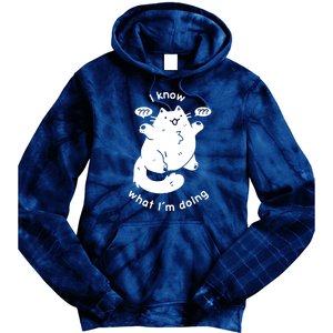 I Know What I'm Doing Funny Cat Tie Dye Hoodie