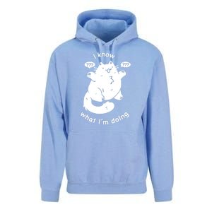 I Know What I'm Doing Funny Cat Unisex Surf Hoodie