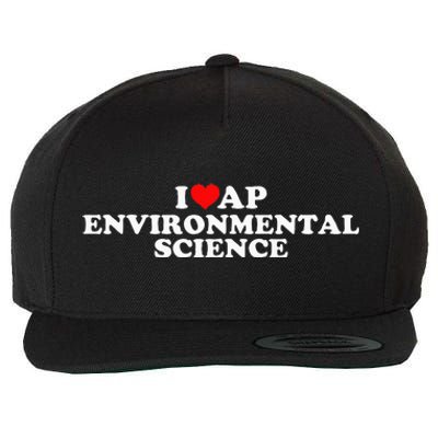 I Love Ap Environmental Science Wool Snapback Cap