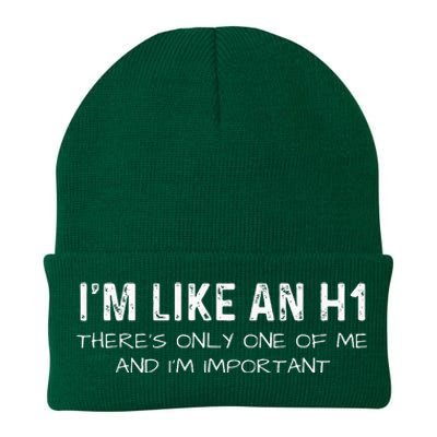 IM Like An H1 Seo Expert Knit Cap Winter Beanie