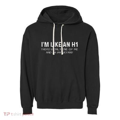 IM Like An H1 Seo Expert Garment-Dyed Fleece Hoodie