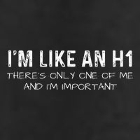 IM Like An H1 Seo Expert Beanie