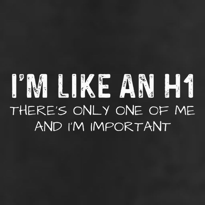 IM Like An H1 Seo Expert Beanie