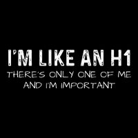 IM Like An H1 Seo Expert 16 in Basic Backpack
