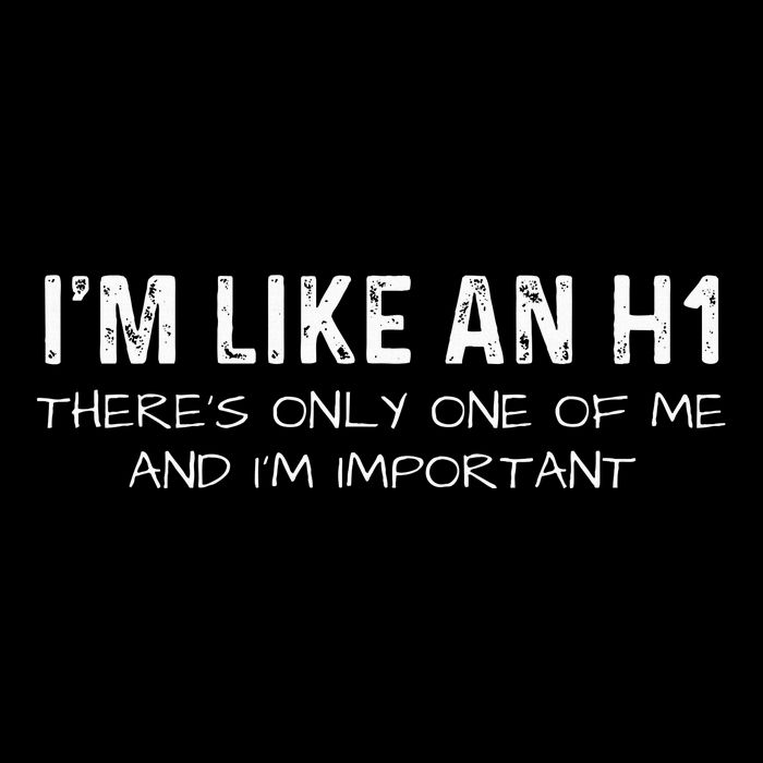 IM Like An H1 Seo Expert 16 in Basic Backpack