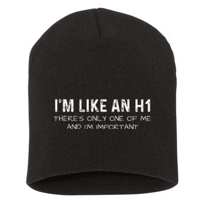 IM Like An H1 Seo Expert Short Acrylic Beanie