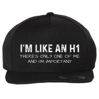 IM Like An H1 Seo Expert Wool Snapback Cap