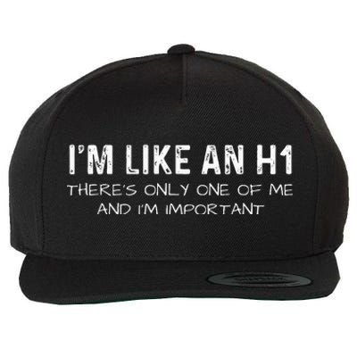 IM Like An H1 Seo Expert Wool Snapback Cap