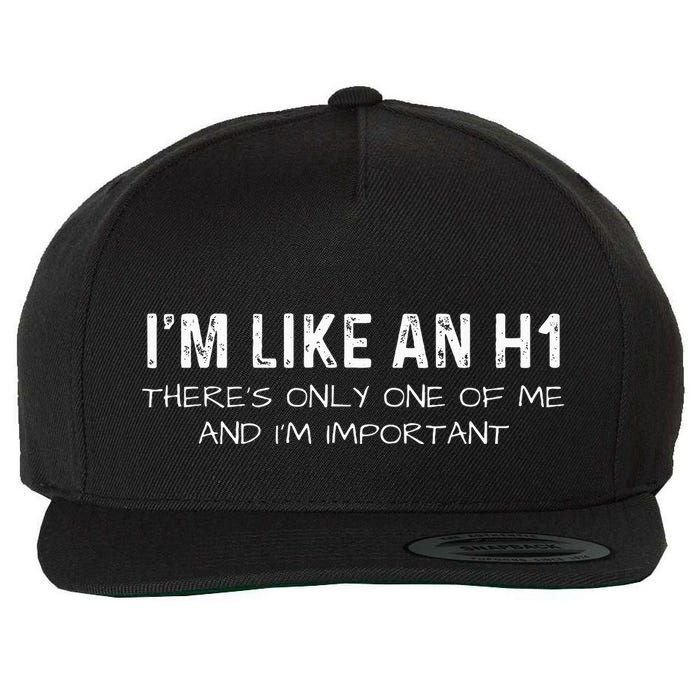 IM Like An H1 Seo Expert Wool Snapback Cap