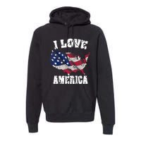 I Love America USA 4th Of July Gift Premium Hoodie