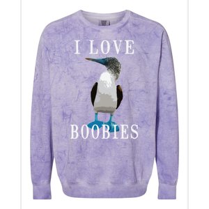 I Love Boobies Blue Footed Boobie Bird Colorblast Crewneck Sweatshirt