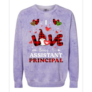 I Love Being A Assistant Principal Gnome Valentine's Day Cute Gift Colorblast Crewneck Sweatshirt