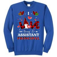 I Love Being A Assistant Principal Gnome Valentine's Day Cute Gift Tall Sweatshirt