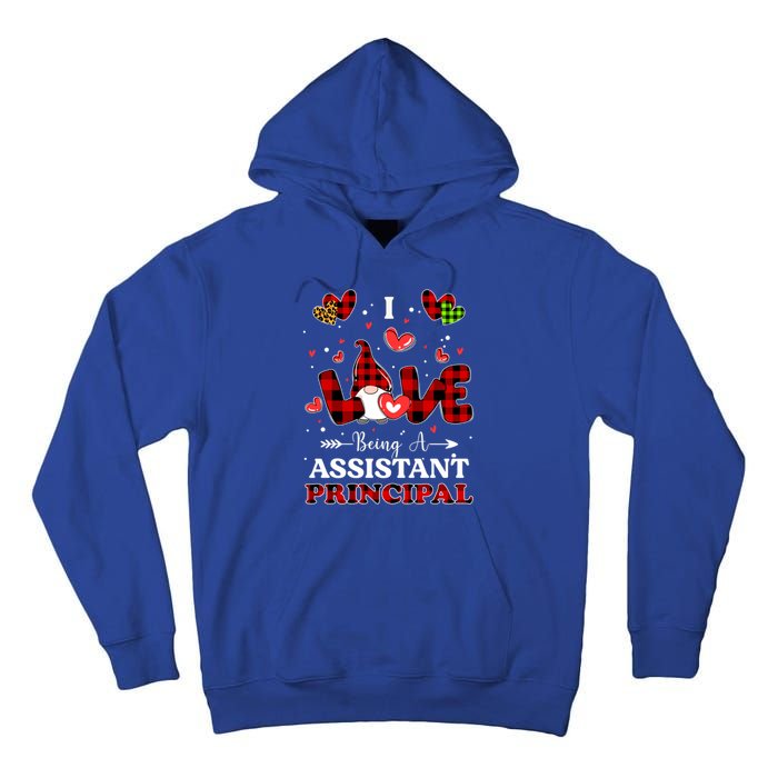 I Love Being A Assistant Principal Gnome Valentine's Day Cute Gift Tall Hoodie