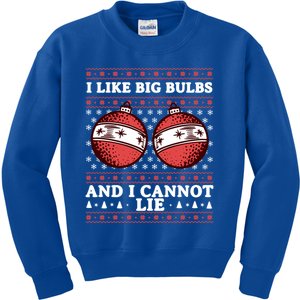 I Like Big Bulbs And I Cannot Lie Funny Matching Couples Gift Kids Sweatshirt