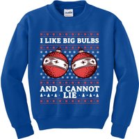 I Like Big Bulbs And I Cannot Lie Funny Matching Couples Gift Kids Sweatshirt