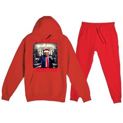 I Ll Be Home For Christmas Trump Premium Hooded Sweatsuit Set