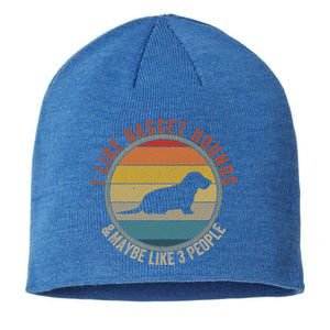 I Like Basset Hounds Dogs Andfunny Giftmaybe 3 People Gift Sustainable Beanie