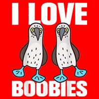 I Love Boobies Blue Footed Boobie Bird Funny Gift For Birdwatchers 16 in Basic Backpack