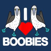 I Love Boobies Blue Footed Boobie Bird Funny I Heart Boobies Flat Bill Trucker Hat
