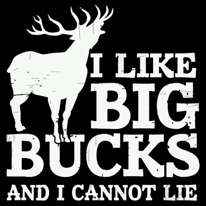 I Like Big Bucks And I Cannot Lie Deer Hunting Stripe Pom Pom Beanie