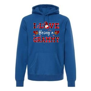 I Love Being A Grammy Gnome Valentine's Day Gift Premium Hoodie