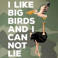 I Like Big Birds And I Can Not Lie Cute Gift Legacy Tie Dye Trucker Hat