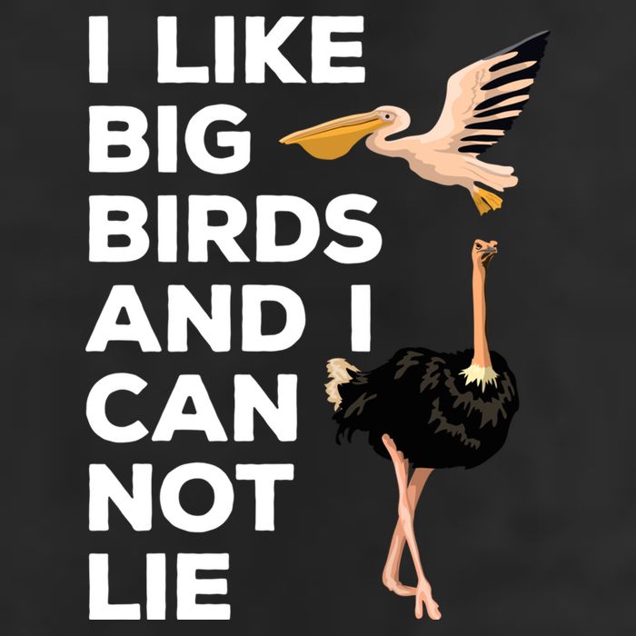 I Like Big Birds And I Can Not Lie Cute Gift Cool Comfort Performance Bucket Hat