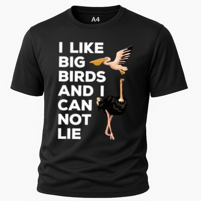 I Like Big Birds And I Can Not Lie Cute Gift Performance Shirt