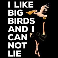 I Like Big Birds And I Can Not Lie Cute Gift Bucket Hat