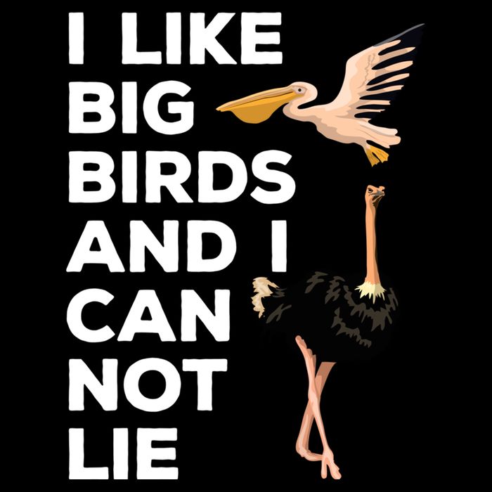 I Like Big Birds And I Can Not Lie Cute Gift Bucket Hat