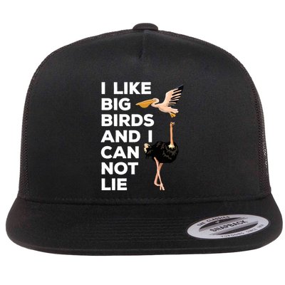 I Like Big Birds And I Can Not Lie Cute Gift Flatbill Hat