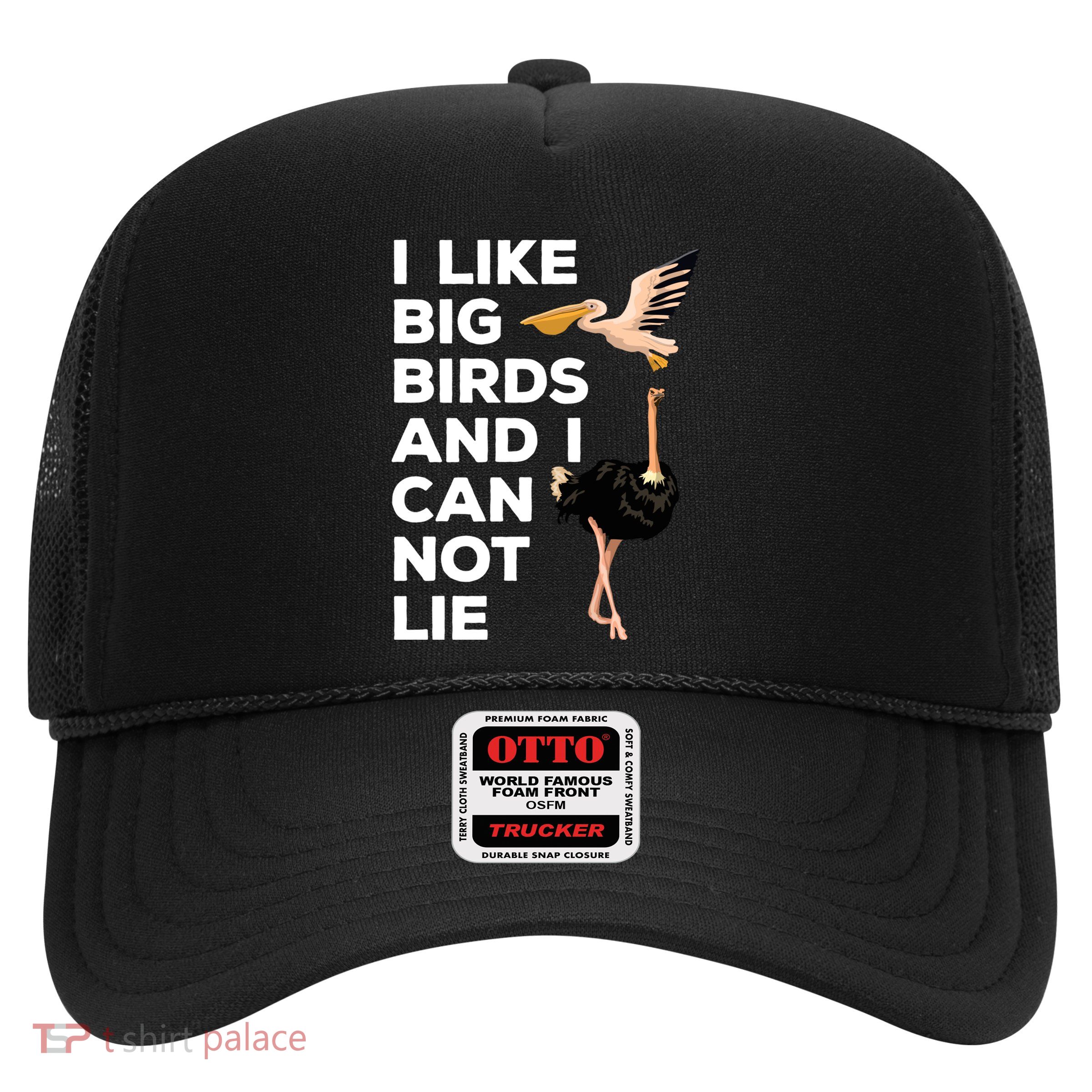 I Like Big Birds And I Can Not Lie Cute Gift Trucker Hat