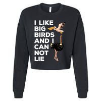 I Like Big Birds And I Can Not Lie Cute Gift Cropped Pullover Crew