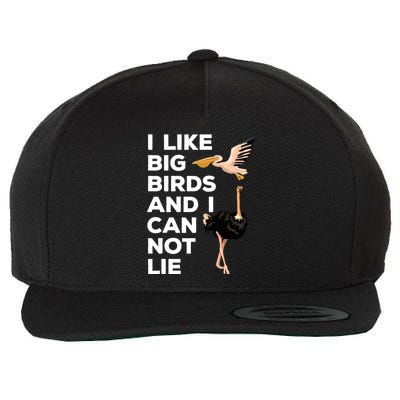 I Like Big Birds And I Can Not Lie Cute Gift Wool Snapback Cap
